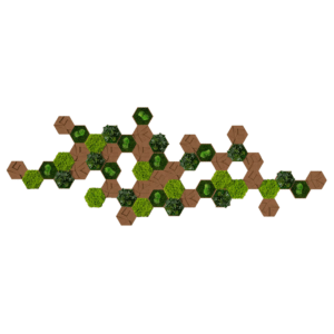 Style Green Cork Hexagon Preserved Moss Pack of 50