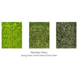 Reindeer Moss Preserved Moss Wall