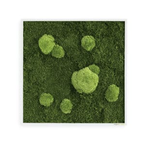Style Green Moss White Framed Forest and Pole Preserved Moss Picture