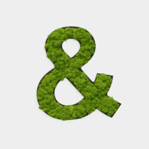 Style Green Reindeer Moss "&" Symbol Preserved Moss Picture
