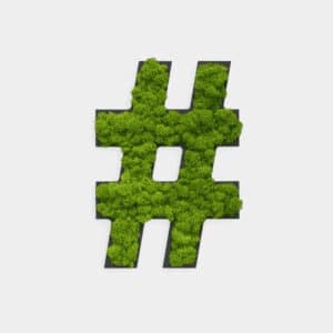Style Green Reindeer Moss "#" Symbol Preserved Moss Picture