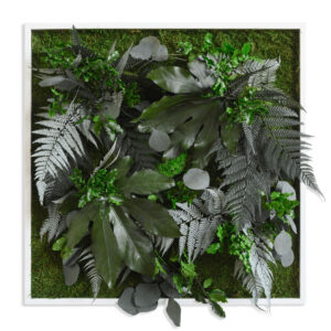 Style Green Jungle Plant Design White Framed Preserved Plant Picture 55x55cm