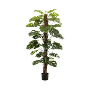 Monstera Deliciosa Artificial Plant 160cm