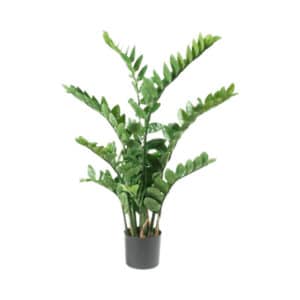 Zamioculcas Artificial Plant 110cm