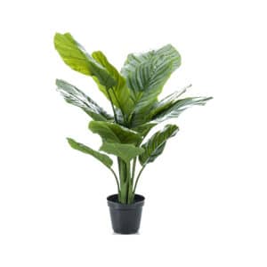 Calathea Orbifolia Artificial Plants 60cm