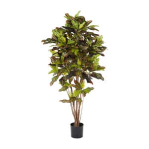 Croton Excellent Artificial Plants 180cm