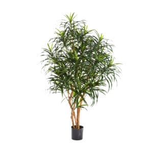 Dracaena Fragrans Compacta Artificial Plants 120cm