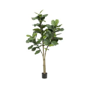 Ficus Lyrata Artificial Plants 180cm