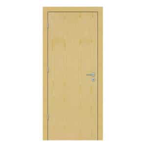 Cell/Hollow Core Ash Single Door