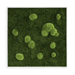 Style Green Picture Framed Forest and Pole Preserved Moss Picture 80x80cm