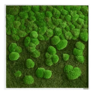 Style Green Moss Picture Framed Forest and Pole Merge Preserved Moss Picture 80x80cm