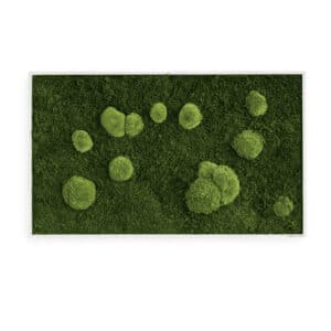Style Green Moss Picture Framed Forest and Pole Preserved Moss Picture 100x60cm