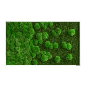 Style Green Moss Picture Framed Forest and Pole Merge Preserved Moss Picture 100x60cm