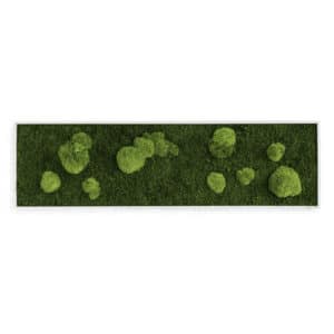 Style Green Moss Picture Framed Forest and Pole Preserved Moss Picture 140x40cm