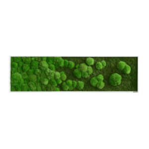 Style Green Moss Picture Framed Forest and Pole Merge Preserved Moss Picture 140x40cm