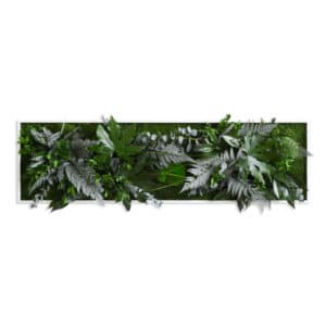 Style Green Picture Framed Jungle Plant Design Preserved Plant Picture 140x40cm