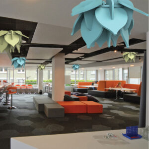 Lotus Lattice Canopies & Rafts