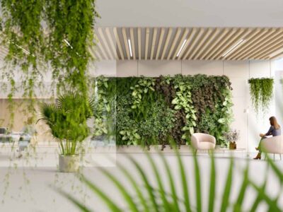 5 Benefits of Biophilic Design in the Office